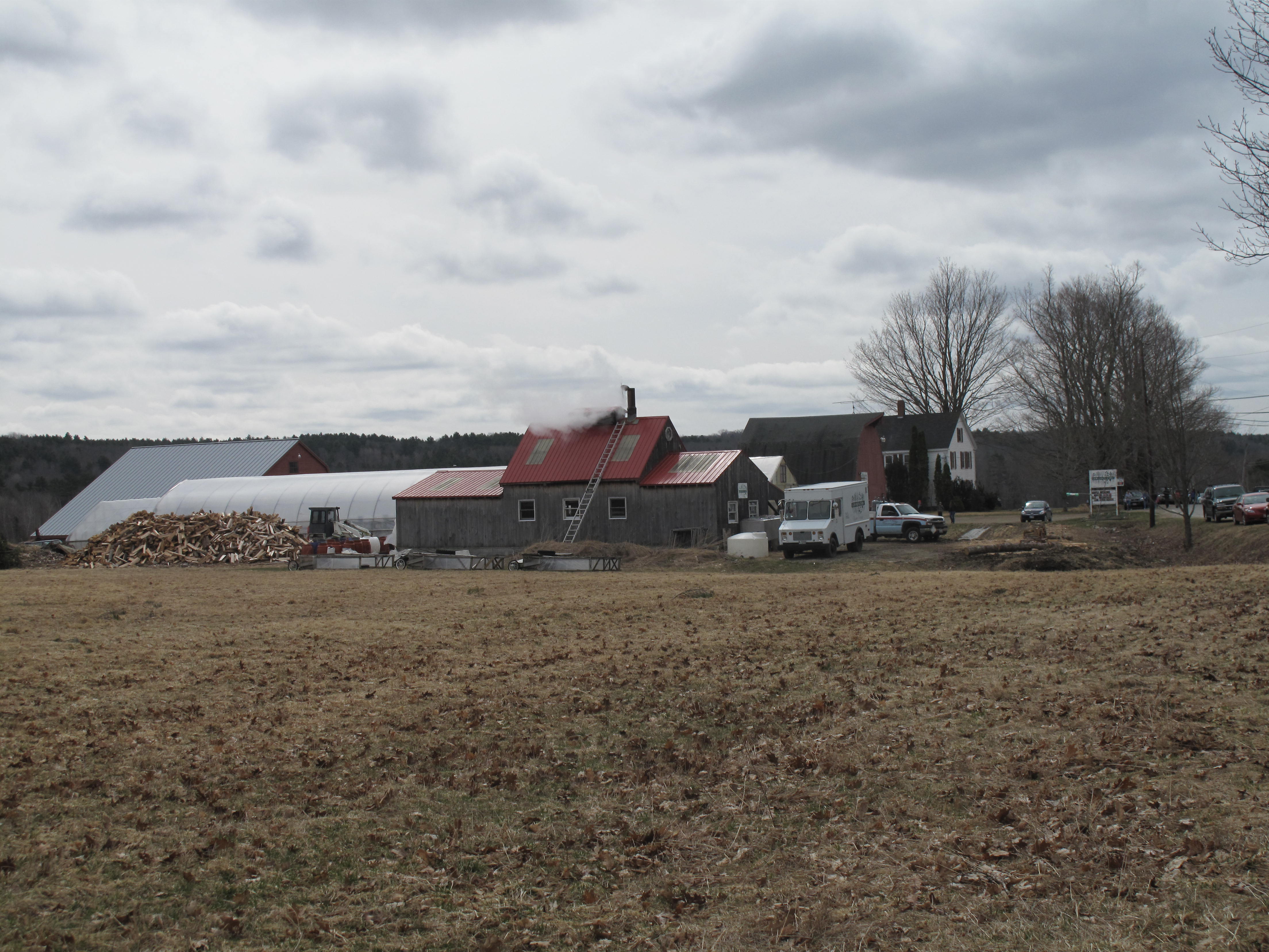 Maine Maple Sunday