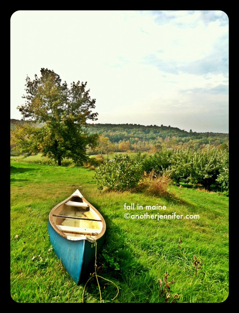 fall in Maine