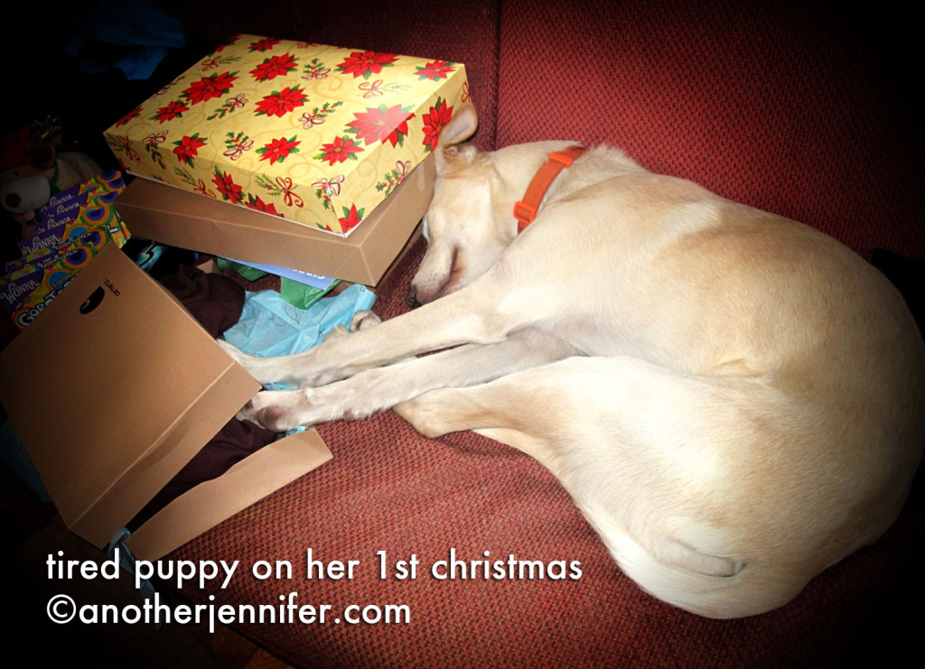 Wordless Wednesday (12.26.12): Tired Puppy on Her 1st Christmas by Jennifer Barbour