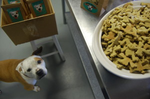 Zelda overseeing packaging in the home bakery
