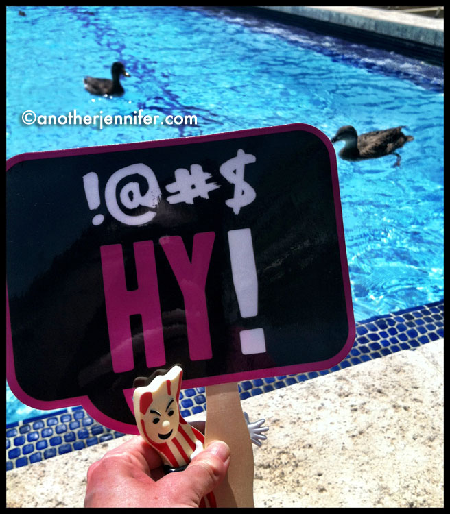 Ducks in the pool at Peabody Hotel