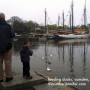 feeding ducks