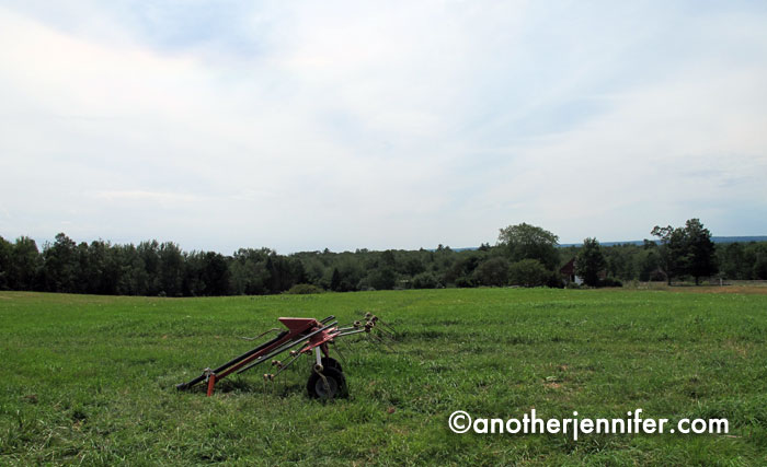 Wordless Wednesday (7.24.13): Open Farm Day, Maine by Jennifer Barbour