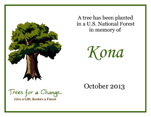 Kona's certificate. You can see his photo on the pet memorial page.