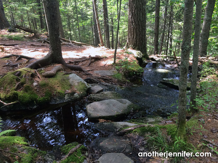 Wordless Wednesday (7.29.15): The Natural Path