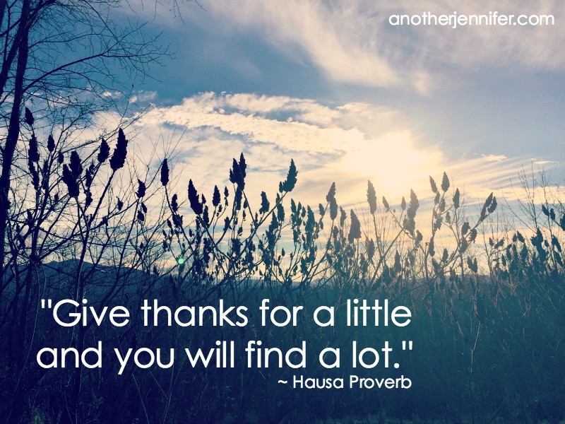 "Give thanks for a little and you will find a lot." ~ Hausa Proverb