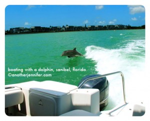 Wordless Wednesday (5.16.12): Boating with a Dolphin, Sanibel, Florida