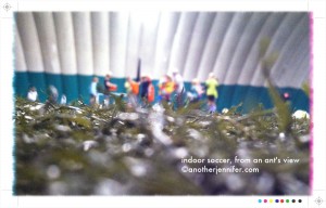 indoor soccer ant's view